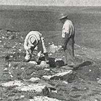 Tìm lại được "kho báu" hóa thạch mất tích sau 70 năm