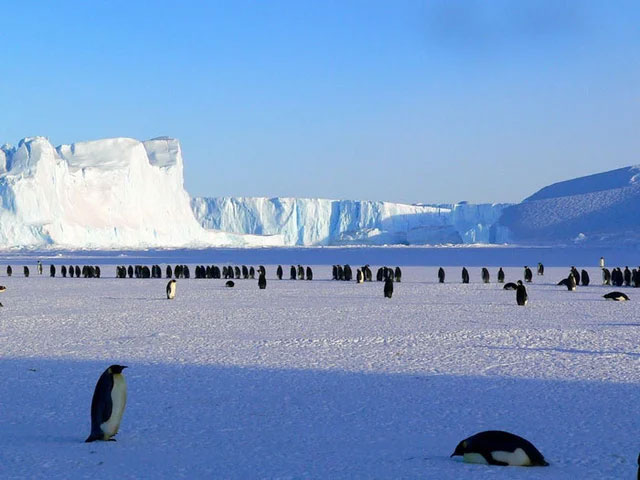 Nam Cực là hoang mạc lớn nhất thế giới, vì lượng mưa mà nó nhận được trong năm vô cùng ít.