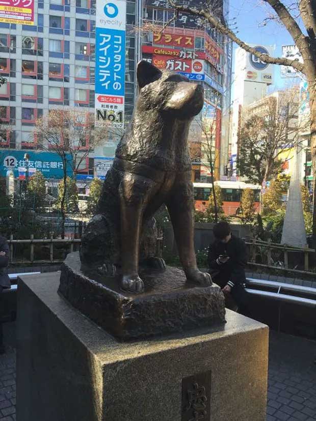 Tượng của Hachiko ngày nay ở giữa trung tâm Tokyo