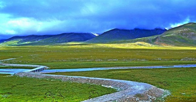 Thành phố nghìn năm không trồng nổi 1 cây xanh: Thưởng 1 tỷ cho ai "giải cứu" thành công