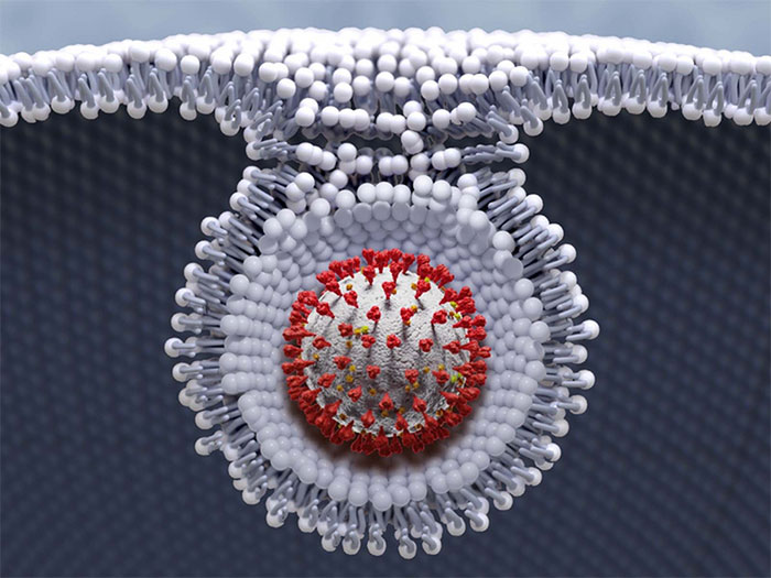 Phát hiện kỳ lạ về Covid-19: Khi virus 
