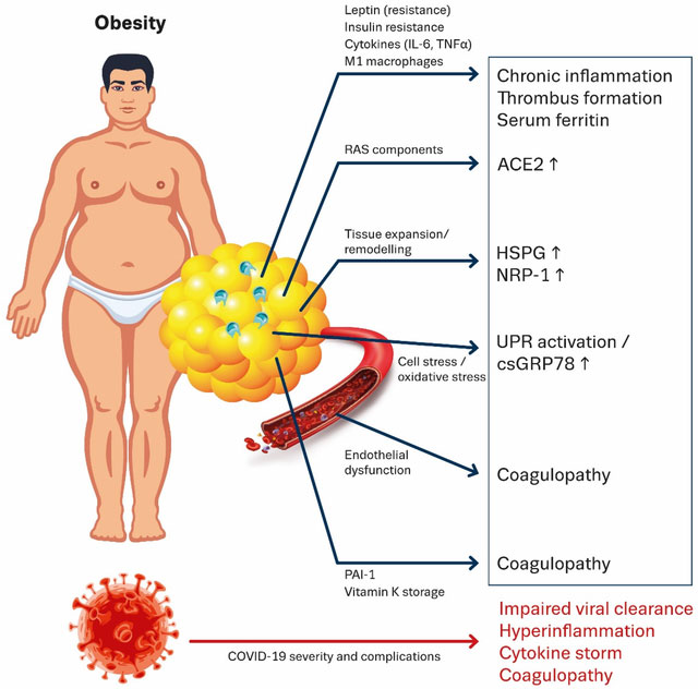 Phát hiện kỳ lạ về Covid-19: Khi virus 
