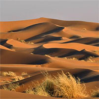 Dùng radar đo độ sâu sa mạc Sahara, các nhà khoa học phát hiện ra "thứ" khổng lồ bên dưới