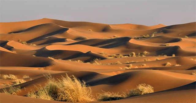 Dùng radar đo độ sâu sa mạc Sahara, các nhà khoa học phát hiện ra "thứ" khổng lồ bên dưới