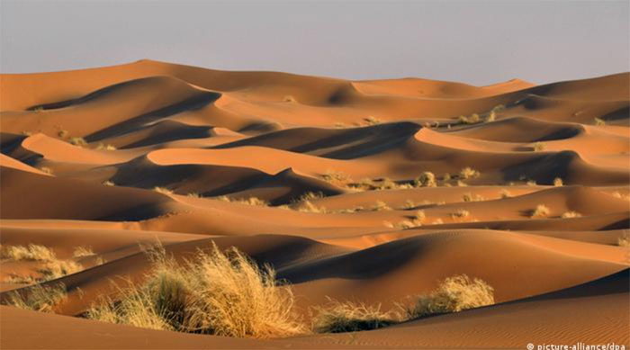 Sa mạc Sahara là một trong những sa mạc lớn nhất thế giới.