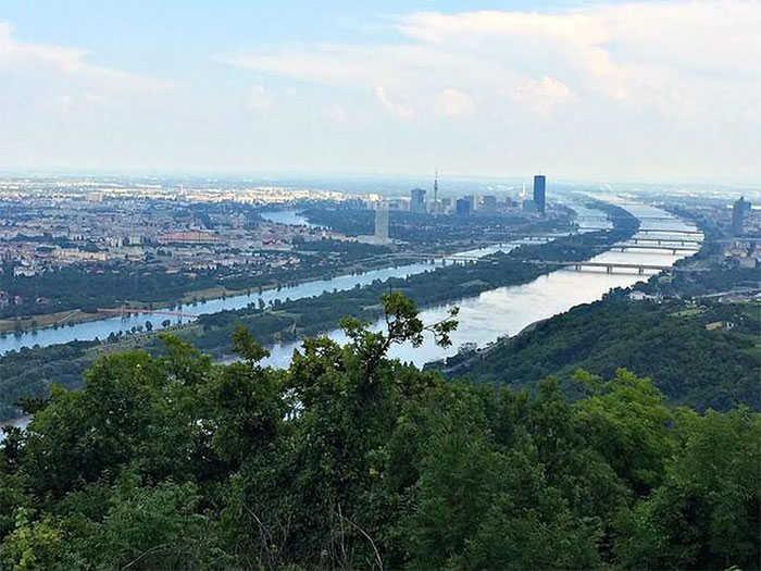 Sông Danube uốn lượn giữa lòng Vienna.
