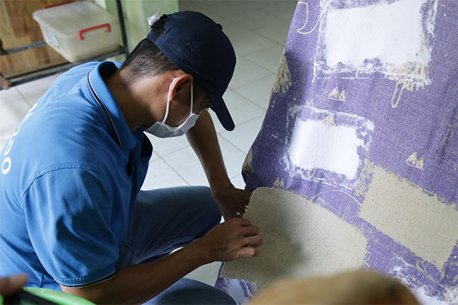 Độc đáo loại giấy làm từ... phân voi