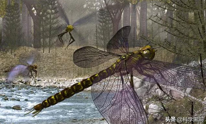 Trong môi trường hàm lượng oxy cao của Trái đất thuở sơ khai, nhiều loài côn trùng có kích thước rất lớn. 