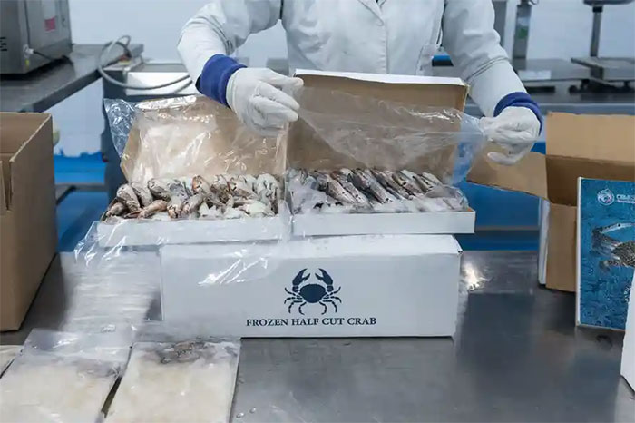Cuộc xâm lược của loài cua phàm ăn