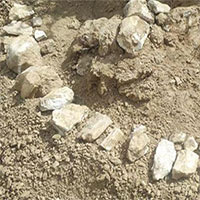 Phát hiện hóa thạch hệ động vật Hipparion 8 triệu năm tuổi ở Tân Cương