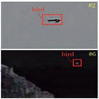 Các nhà khoa học Trung Quốc chế tạo tia laser đuổi chim để bảo vệ sân bay