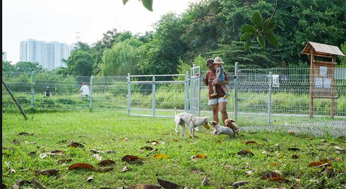 Công viên dành cho chó đầu tiên tại Hà Nội