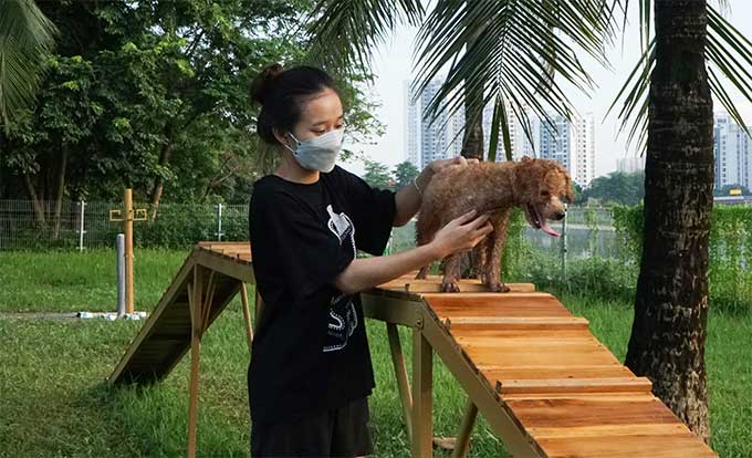 Công viên dành cho chó đầu tiên tại Hà Nội