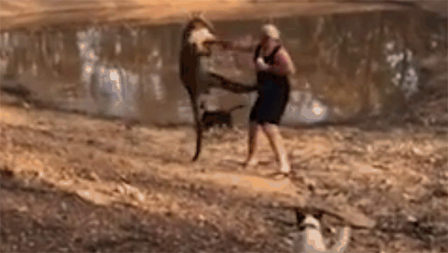The man was kicked in the chest by the kangaroo.
