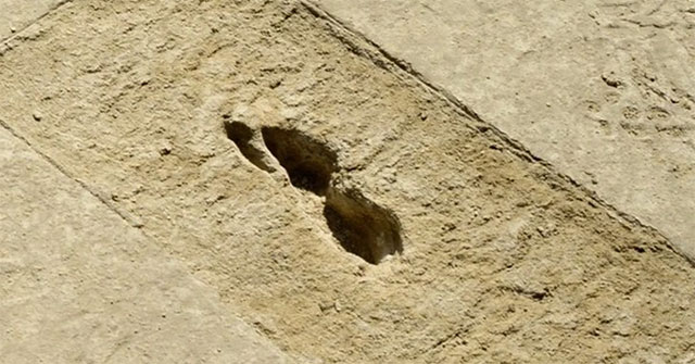 Bí ẩn dấu chân “ma quái” ở sa mạc: Chỉ hiện lên khi trời mưa, biến mất khi gặp ánh nắng Mặt trời