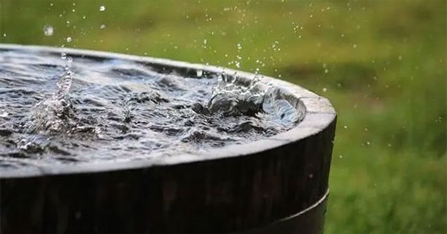 Nước mưa trên khắp thế giới đều có các hóa chất gây ung thư, khuyến cáo không sử dụng