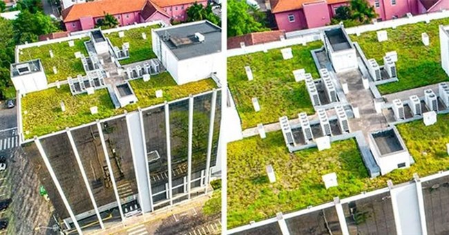 Những luật lệ độc đáo có "1-0-2" trên khắp thế giới, điều thứ hai chắc chắn khiến 90% đều phải bất ngờ