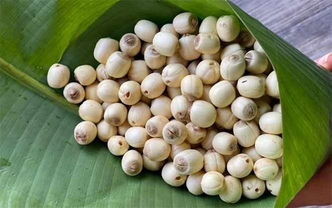 Lợi ích tuyệt vời từ hạt sen mà ai cũng phải bất ngờ