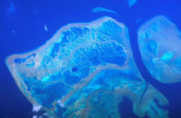 Rạn san hô Great Barrier ở Australia đạt độ phủ cao nhất trong 36 năm