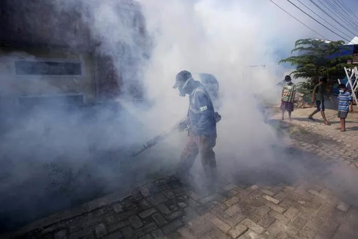 Nghiên cứu mới tìm ra mối liên quan giữa thời tiết khắc nghiệt và bệnh truyền nhiễm