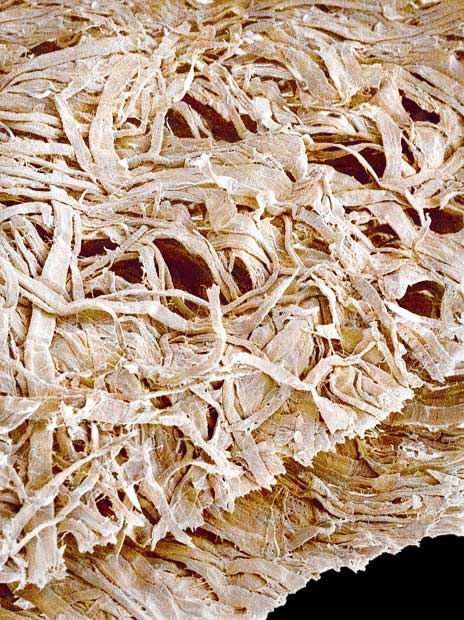 Top 25 món đồ thông dụng nhưng trông thật khác lạ dưới góc nhìn kính hiển vi
