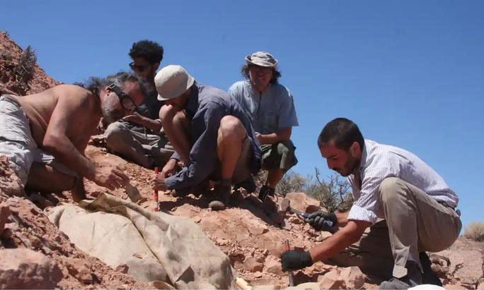 Các nhà khảo cổ đang khai quật hóa thạc