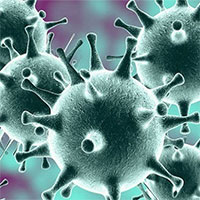 Mối nguy hiểm từ sự trỗi dậy của các loại virus mới