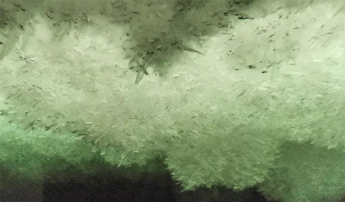 Bão tuyết lộn ngược tạo nên 