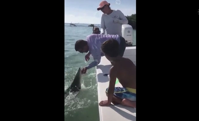 Con cá mập  cắn mạnh vào bàn tay của Brett Reeder khiến anh phải hét lên trong đau đớn. 