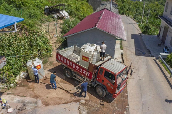 Nắng nóng ở Trung Quốc làm tôm tự chín trên đường từ chợ về nhà