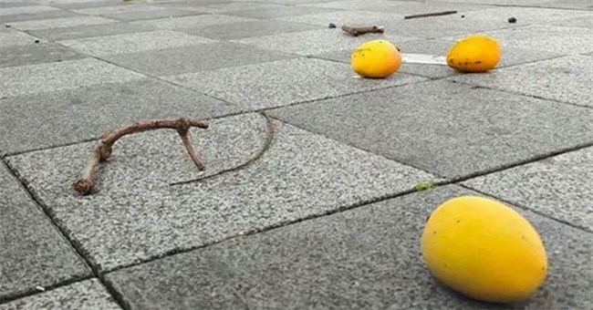 Vì sao xoài, mít rải khắp phố phường nhưng người Trung Quốc không ai dám ăn?