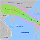 Biển Đông sắp đón cơn bão số 3 - bão Maon