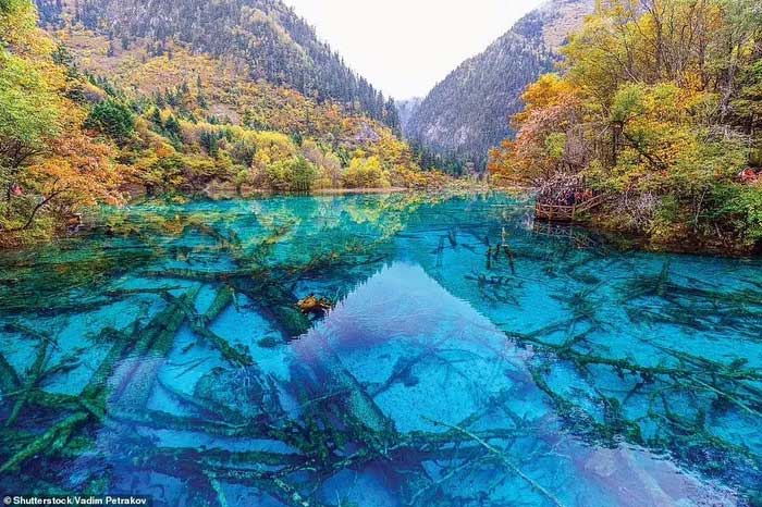 Parque Natural de Gorbeia là công viên tự nhiên ở xứ Basque, miền Bắc Tây Ban Nha.