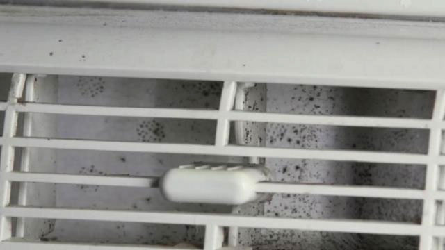 Cách phát hiện và xử lý hiệu quả nấm mốc trong điều hòa không khí