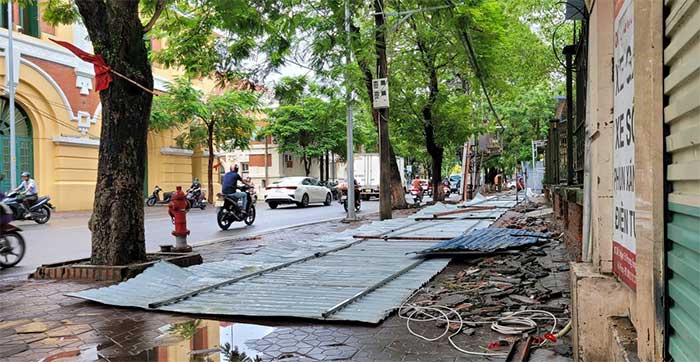 Hàng loạt cây xanh bật gốc sau bão Maon