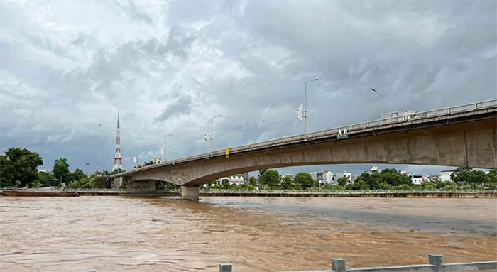 Hàng loạt cây xanh bật gốc sau bão Maon