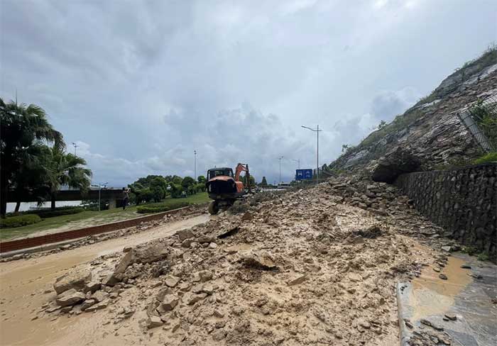 Hàng loạt cây xanh bật gốc sau bão Maon