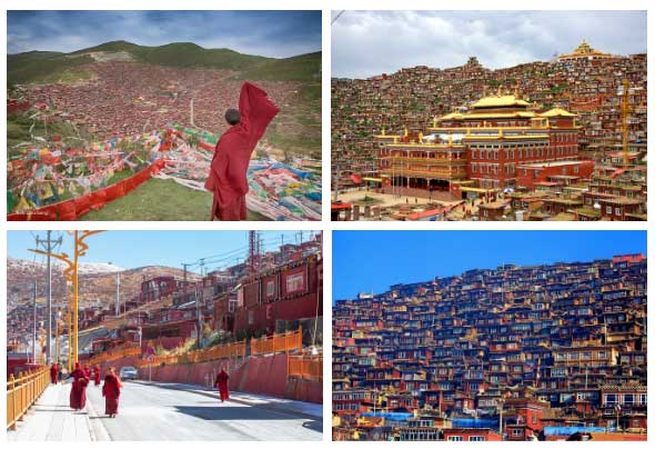 Các ngôi chùa Phật giáo Tây Tạng tập trung tương đối nhiều ở đây.