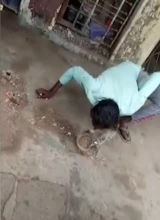 Người đàn ông cúi xuống hôn rắn hổ mang.