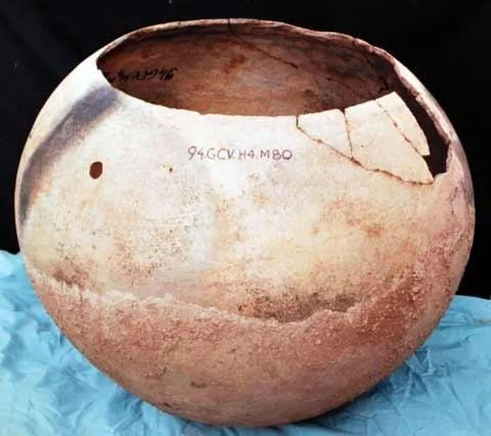 Phát lộ 