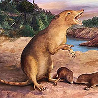 Phát hiện hài cốt "vị tổ tiên đầu thời khủng long" của chúng ta