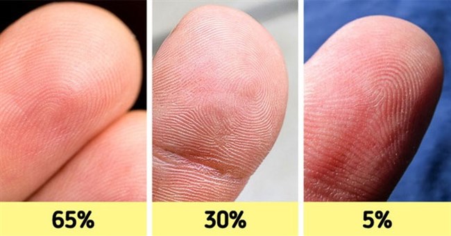 Top 12 đặc điểm cơ thể tưởng bình thường nhưng lại là của hiếm, không phải ai cũng có thể sở hữu