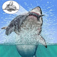 Tìm thấy hóa thạch cá voi bị quái vật megalodon ngoạm gãy lưng