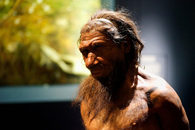 Tượng sáp một người anh em "siêu nhân" Neanderthals đã tuyệt chủng