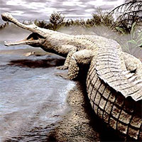Siêu quái vật 12m chuyên ăn thịt khủng long "hiện hình" ở Sahara
