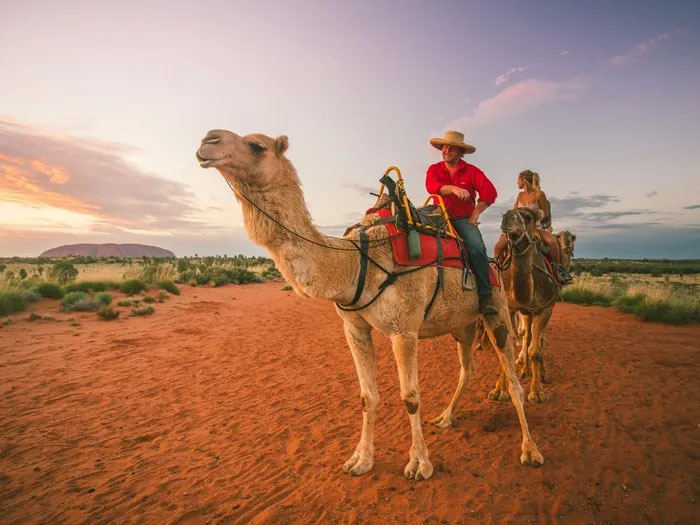 Uluru - 