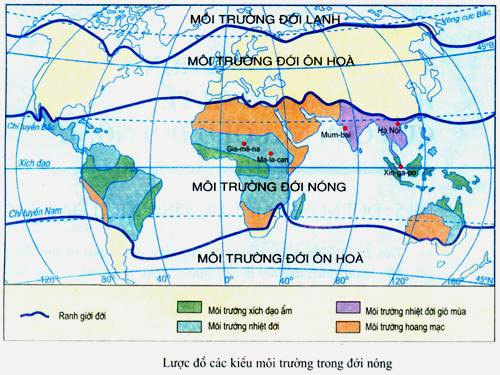 Lược đồ các kiểu môi trường trong đới nóng