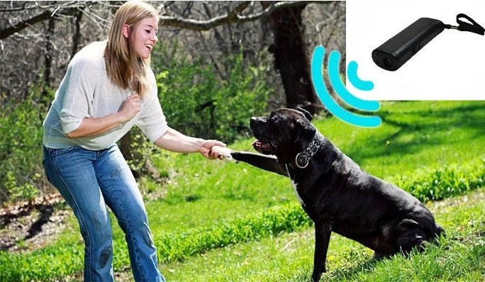  BarXStop sử dụng tần số siêu âm vô hại mà chỉ có loài chó mới nghe được. 
