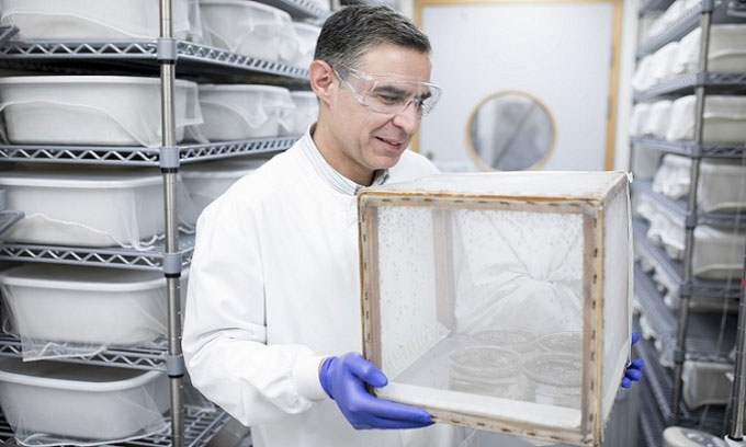  Giáo sư George Christophides bê hộp chứa muỗi. 
