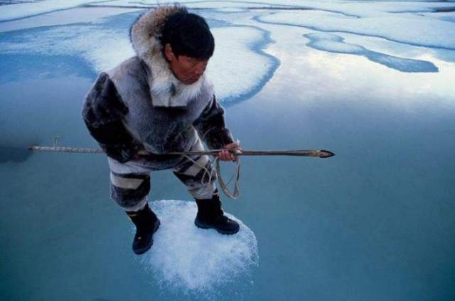 Công nghệ nguyên thủy: Bí ẩn về những chiếc lao làm từ gạc tuần lộc của người Inuit
